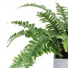 Northlight 13" Boston Fern Artificial Plant in Square Pot - Green/Gray - 2 of 4