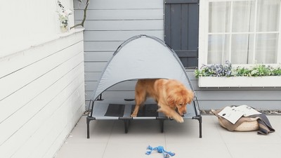 Coffee Brown Elevated Dog Cot with Canopy Shade, 36 inch