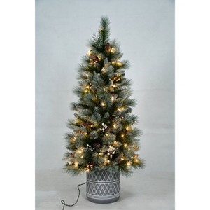 Season's Designs Christmas 4Ft Pe/Pvc/Pine Needle Tree With Red Ber - 1 of 1