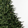 Vickerman 9' x 78" Bellevue Fraser Fir Artificial Christmas Tree with Warm White Mini Lights. - image 3 of 3