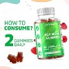 Vitamatic Irish Sea Moss Gummies – 3000mg Equivalent – 60 Ct - 2 of 4