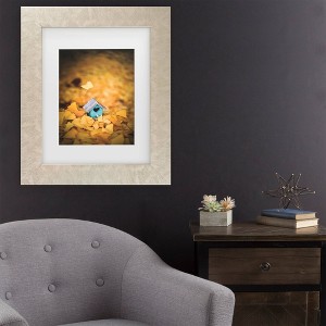 Trademark Fine Art Philippe Sainte Laudy Birdhouse on Yellow Carpet Matted Framed Art - 1 of 4