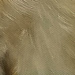 farmhouse gray