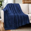 PAVILIA Plush Knit Throw Blanket for Couch Sofa Bed, Super Soft Fluffy Fuzzy Lightweight Warm Cozy All Season - 3 of 4
