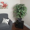 Vickerman Artificial Variegated Ficus Extra Full Series - 3 of 3
