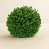 Boxwood Foliage Orb (Set of 2) - 3 of 3