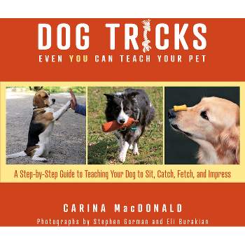 Dog Tricks Even You Can Teach Your Pet - by  Carina MacDonald (Paperback)
