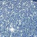 glitter blue