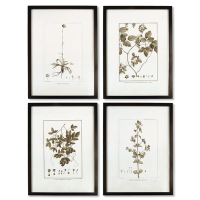 Plum & Post Framed Sepia-Tone Botanical Prints, Set Of 4
