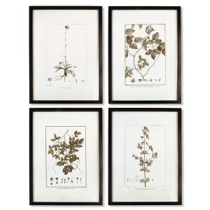 Plum & Post Framed Sepia-Tone Botanical Prints, Set Of 4 - 1 of 3