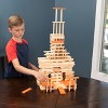  Fat Brain Toys Timber FB208-1 300 Piece Set - image 4 of 4