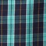 tidal green plaid