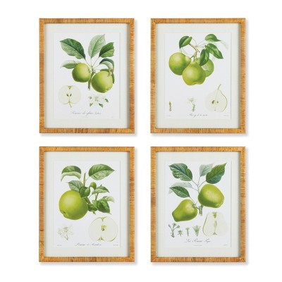 Plum & Post Fruit Study, Set Of 4