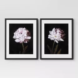 (Set of 2) 16" x 20" Matted Floral Stems Framed Print Black - Threshold™