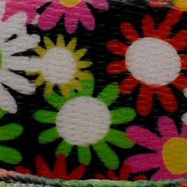 daisy fields