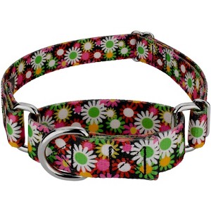Country Brook Petz  Martingale Dog Collar Floral Collection with 8 Charming Designs - 1 of 4