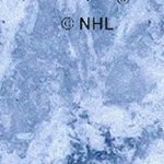 new jersey devils