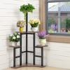 MAYEERTY Corner Plant Stand Indoor, 6 Tiered Plant Shelf Flower Stand - 2 of 4