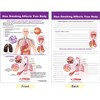 Sportime Effects of Smoking and Vaping Bulletin Board Charts, Set of 6, Grades 5 to 12 - 4 of 4