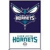Trends International NBA Charlotte Hornets - Logo 21 Unframed Wall Poster Prints - 4 of 4
