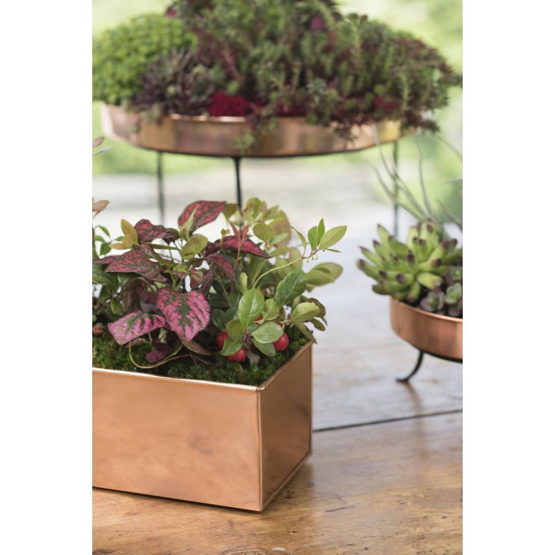 Gardener's Supply Company Rectangular Copper-Coated Stainless Steel Plant Tray | Leakproof Protects Surfaces Indoor Outdoor Plant Flower Succulent, 4 of 6