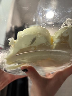 Guest review image 1 of 1, zoom in