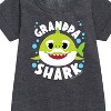 - Baby Shark - Grandpa Shark Graphic Short Sleeve Fleece Dress - 2 of 4