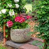 Sunnydaze Round Lava Finish Ceramic Planter - Green Distressed Ceramic - 10" Round - Set of 2 - 4 of 4