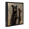 Stupell Industries Forest Black Bear and Cubs, 25" x 25" - 3 of 4