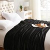 Inhand Fleece Throw Blanket for Couch Sofa or Bed, 50" x 60" Soft Fuzzy Plush Blanket, Luxury Flannel Blanket, Super Cozy and Comfy for All Seasons - 3 of 4