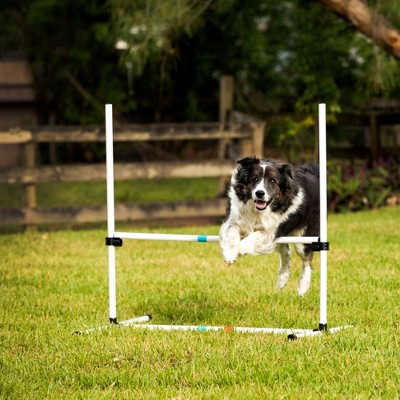 Adjustable White Plastic Dog Agility Training Bar Jumps Set