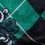 slytherin