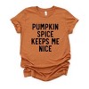 Simply Sage Market Pumpkin Spice Keeps Me Nice Short Sleeve Tee - 3 of 4