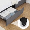 Acekool Upholstered Bed Frame, Adjustable Velvet Headboard, 4 Storage Drawers, Noise-Free, No Box Spring Needed, Easy Assembly, Full - 4 of 4