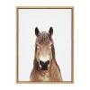 18" x 24" Sylvie Meadow Horse Portrait Framed Canvas by Amy Peterson - Kate & Laurel All Things Decor - 2 of 4