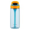 Contigo Purity Glass Water Bottle (20 fl oz, Smoke) 70506 B&H