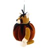 Boyds Bears 5.5 Inch Jack-O-Raccoon Pumpkin Ornament Tree Ornaments - 3 of 3