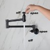 DOMETOUR Pot Filler Faucet Wall Mount Free-swivel Arm Design Double Handles - 2 of 4