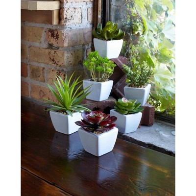 Set of 6 Small Green Plastic Potted Succulents
