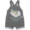 Star Wars Chewbacca R2-D2 Yoda Baby French Terry Short Overalls T-Shirt and Hat 3 Piece Outfit Set Newborn to Infant - 4 of 4