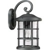 Crusade 1-Light Outdoor Wall Lantern - 4 of 4