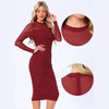 INSPIRE CHIC Women's Mesh Mock Neck Long Sleeve Ruch Elegant Cocktail Bodycon Dress - 2 of 4
