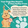 NATURE TARGET Dog Allergy Chews. Relieve itching & hot spots with probiotics, colostrum & Omega 3. Supports immune & skin health - 120 chews - 2 of 4
