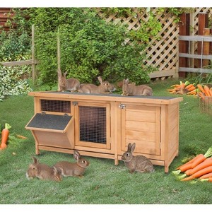 Tinyhomie Large Rabbit Hutch Bunny Cage - 1 of 4