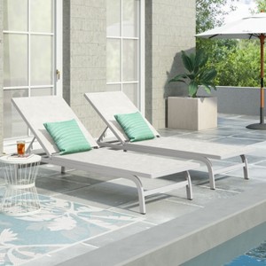 2 PCS FINN Patio Lounge Chair Chaise Recliner Weather Resistant without Cushion-Christopher Knight Home - 1 of 4