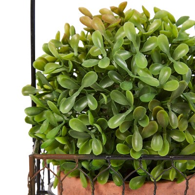 Lifelike Boxwood Trio Topiary in Rustic Terra Cotta-Color Pots