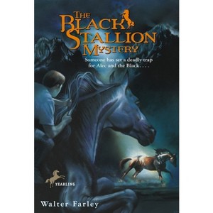The Black Stallion Mystery - by  Walter Farley (Paperback) - 1 of 1