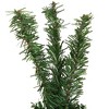 Northlight Canadian Pine Artificial Christmas Garland - 9' x 14" - Unlit - 4 of 4
