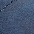 new navy
