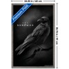 Trends International DC The Sandman (2022) - Matthew The Raven Framed Wall Poster Prints - 3 of 4